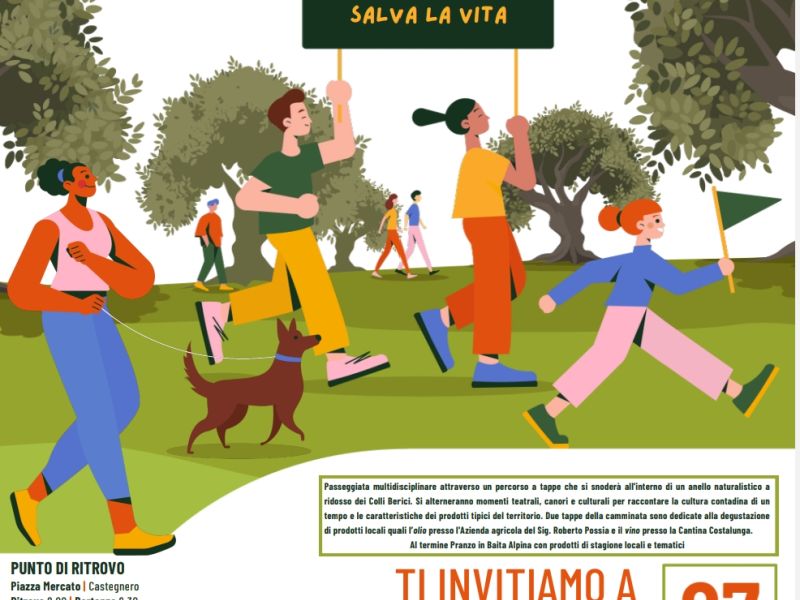 CAMMINATA TRA GLI OLIVI/27 OTTOBRE 2024